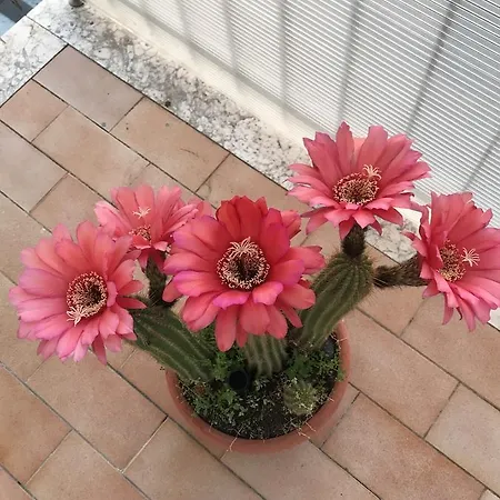 Гостевой дом In The World 3*